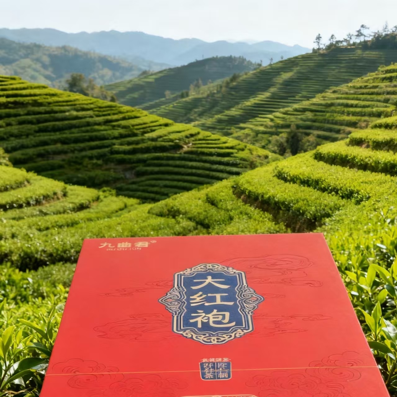 九曲君（大红袍） 8.5克*30泡