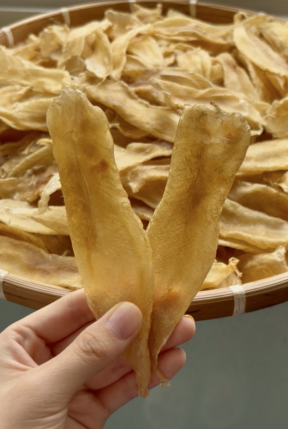 H615790 裕初 本港白花条250-500g 鱼胶 花胶 干货 广东汕头