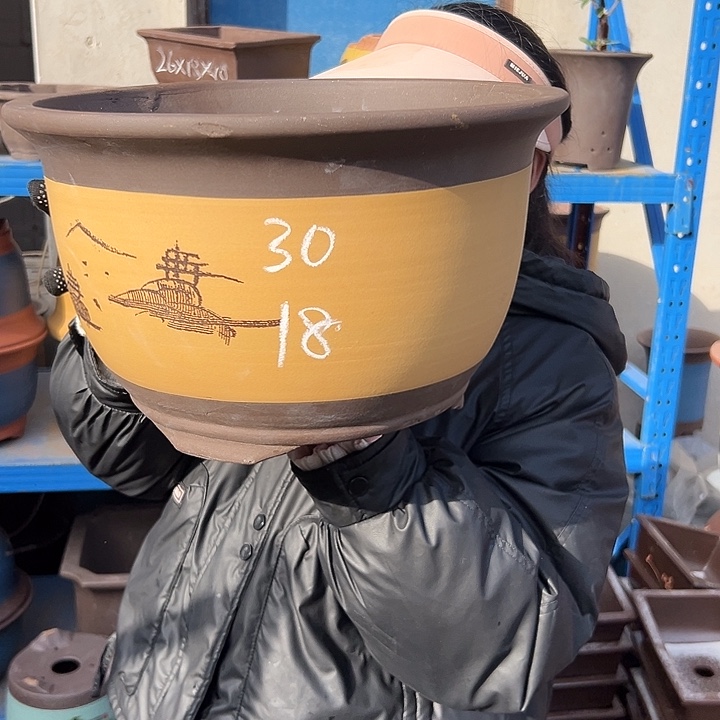 003花盆花盆花盆花盆花盆