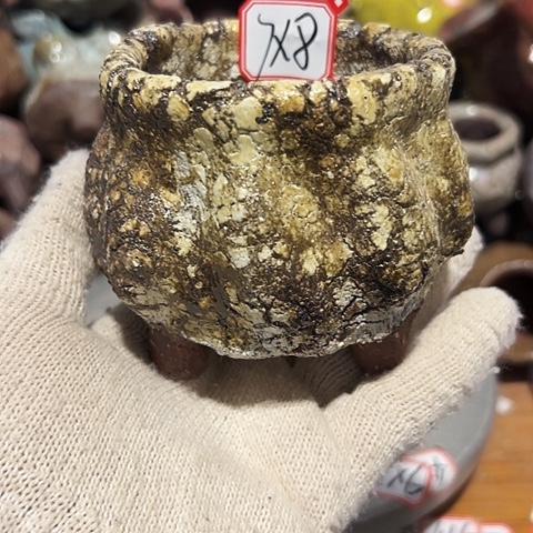粗陶花盆制作就这样了么