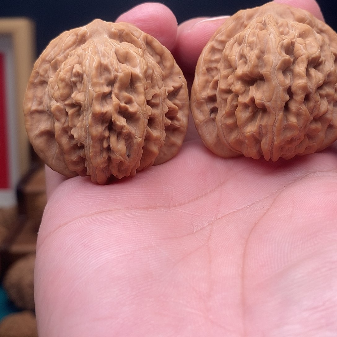 文玩核桃把件43楼子m