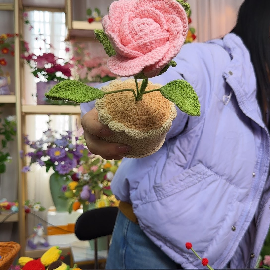 手工钩织设计盆栽