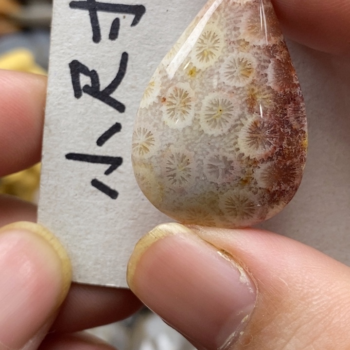 硅化珊瑚（珊瑚玉）未镶嵌颈饰