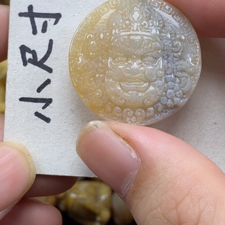 硅化珊瑚（珊瑚玉）未镶嵌颈饰