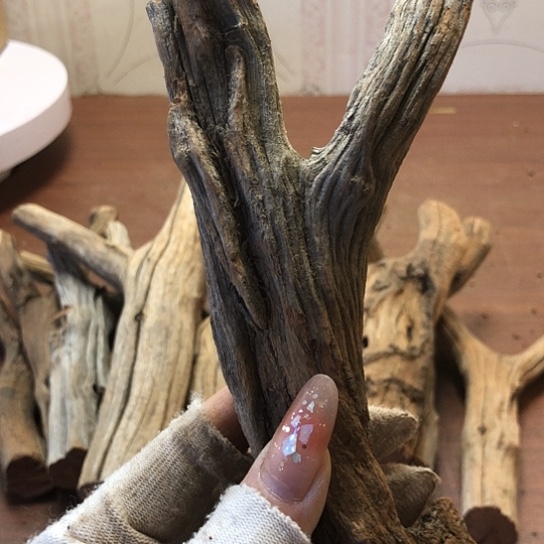 大果紫檀（缅甸花梨）熊**实