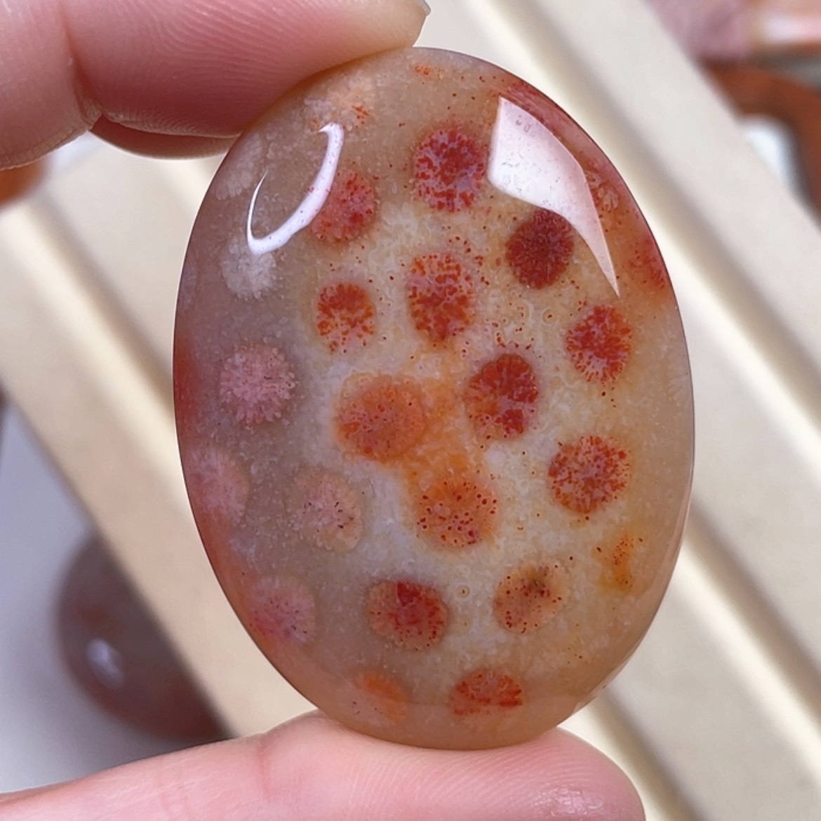 【闪购商品】硅化玉吊坠(赠链)未镶嵌