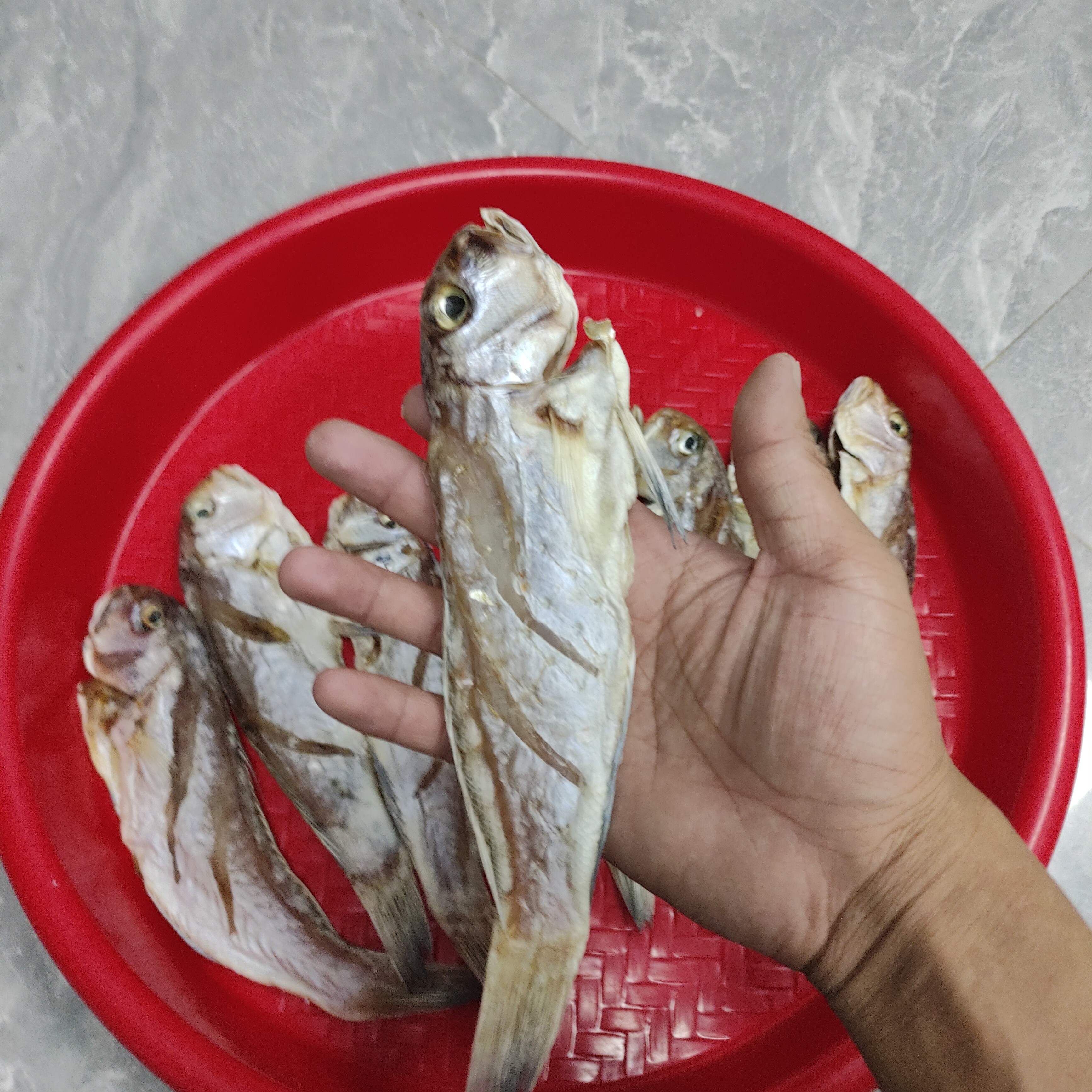 广东汕尾马宫本港马头鱼干，小火煎油，适合配粥下饭