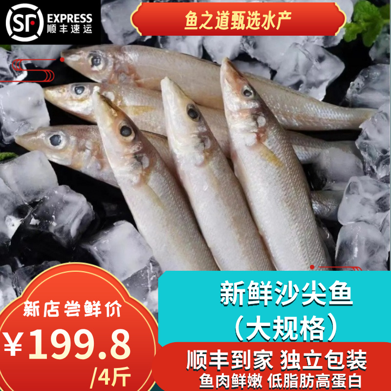 大规格沙尖真空包装顺丰鲜嫩沙丁鱼沙美味高蛋白斤（一斤5-8条）