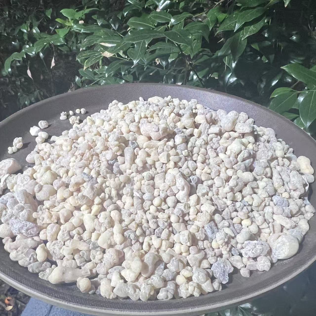 1【R-X】净含量250g-500g【丹丹现收】