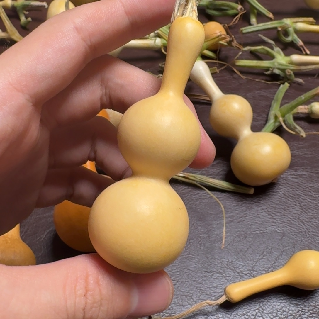 凤眼菩提吊坠手串