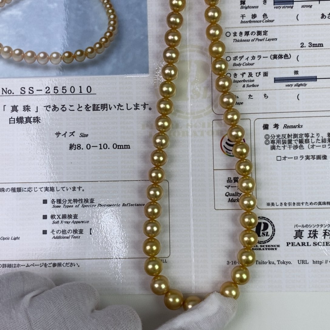 未镶嵌颈饰海水珍珠8-10mm ss真科研茶金