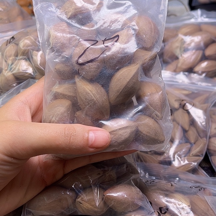 手串/手链橄榄核