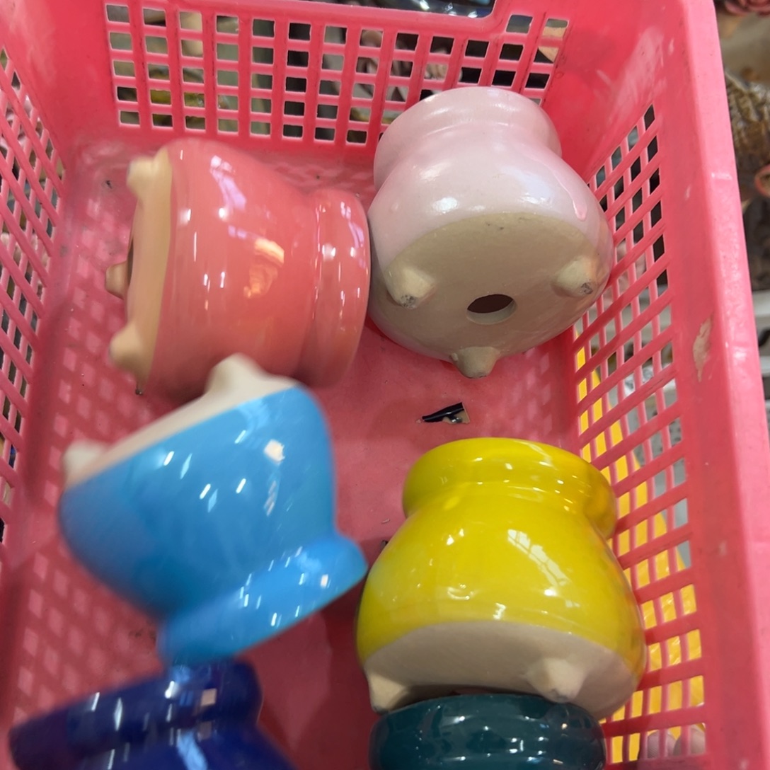 多肉花盆满20元发货，退款拉黑