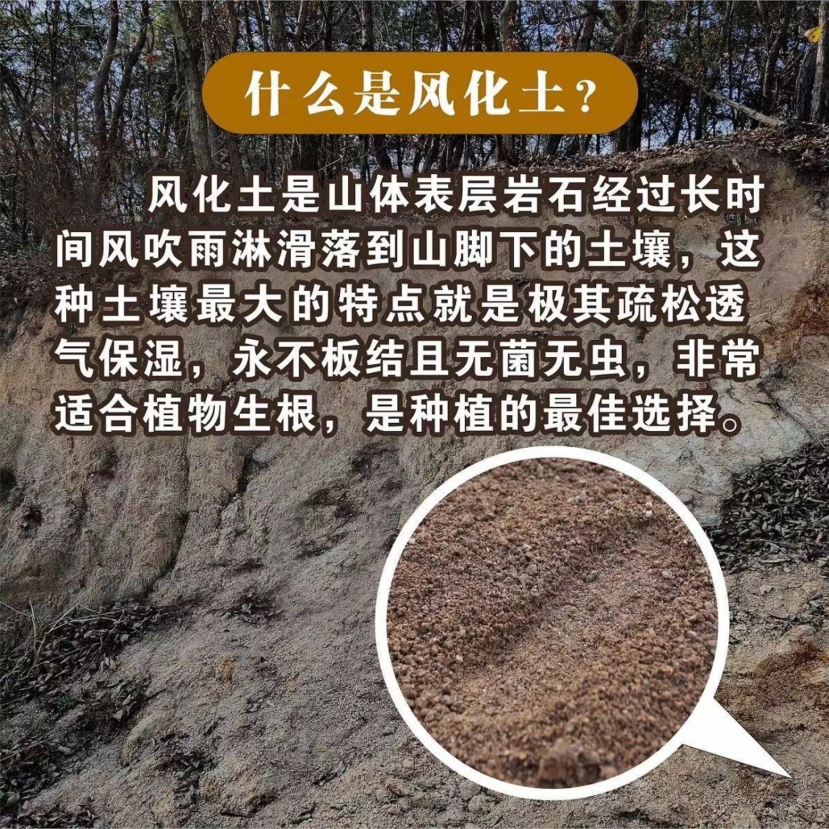 纯天然风化沙疏松透气