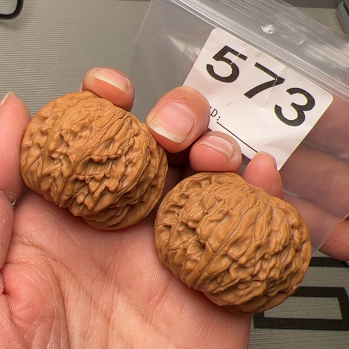 核桃全品磨盘573号41尺