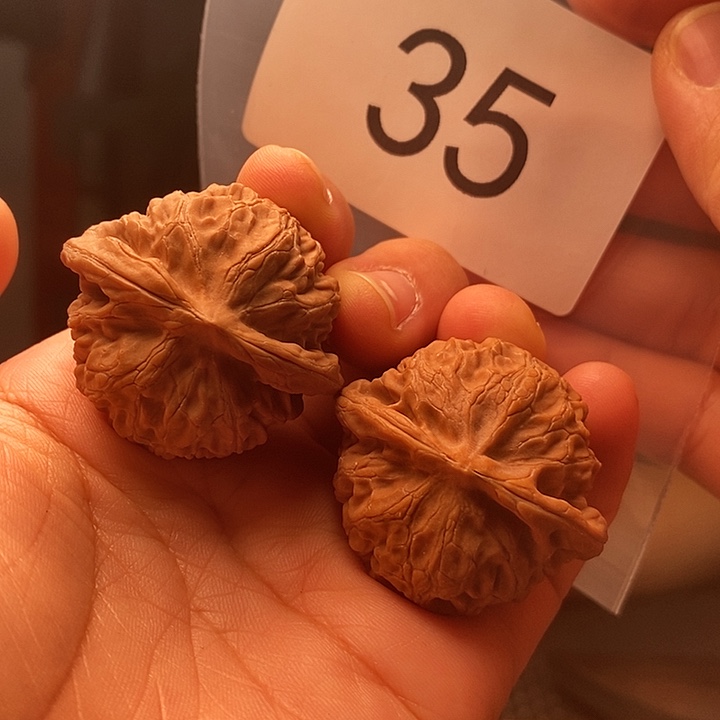 核桃35号宫灯！！！！