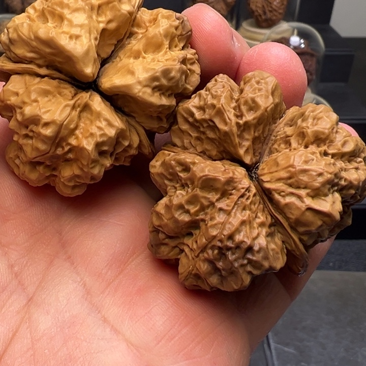 文玩核桃把件达摩古蟾46mm三棱