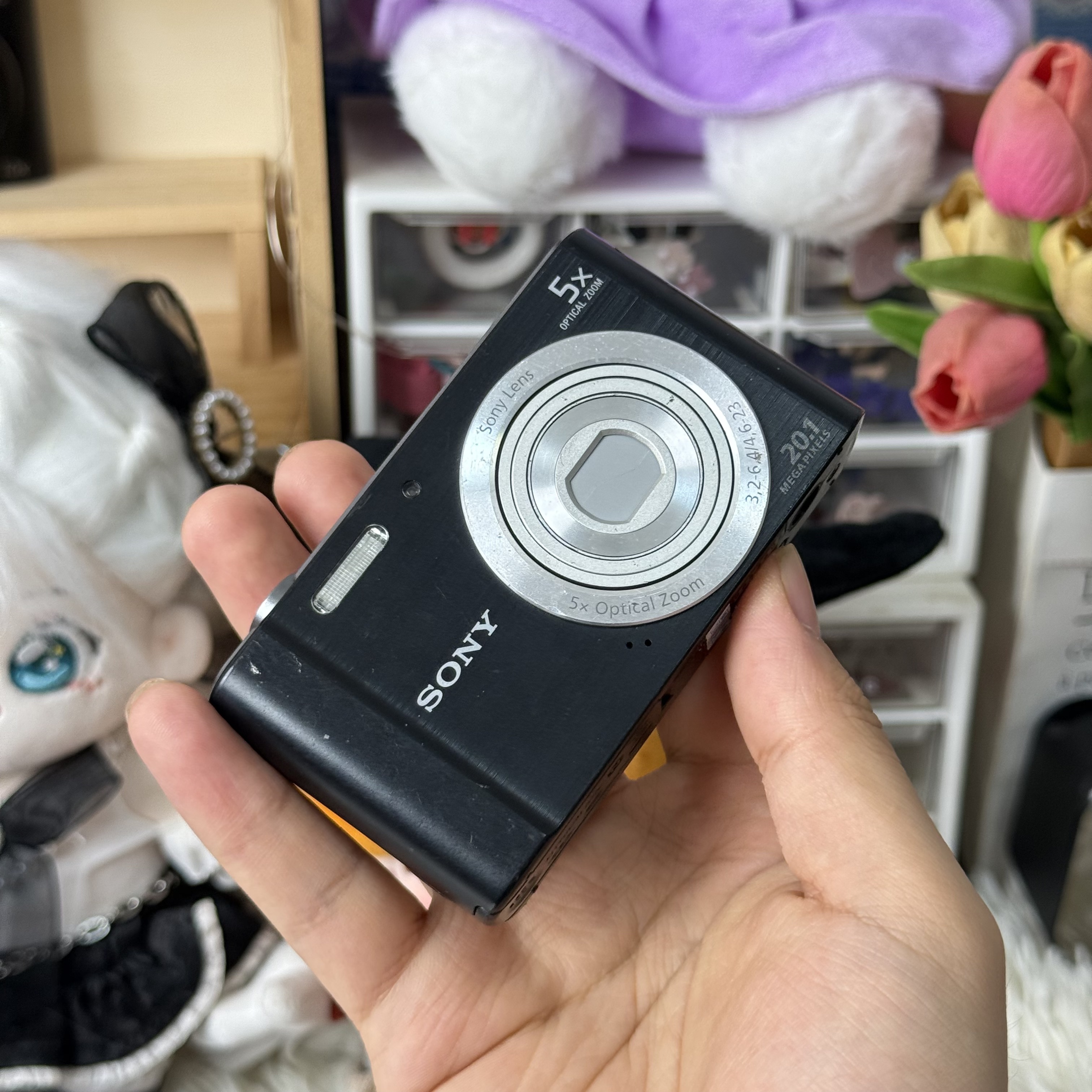 9新 Sony/索尼 索尼w800色彩感好2000万像素滤镜多带配件