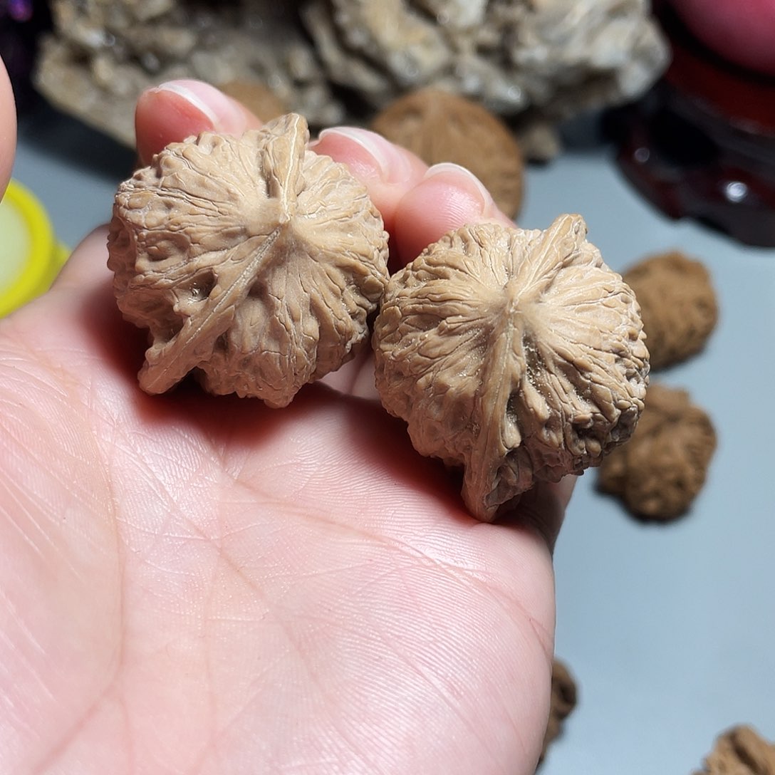 核桃手串/手链精品崔凯飞蛇