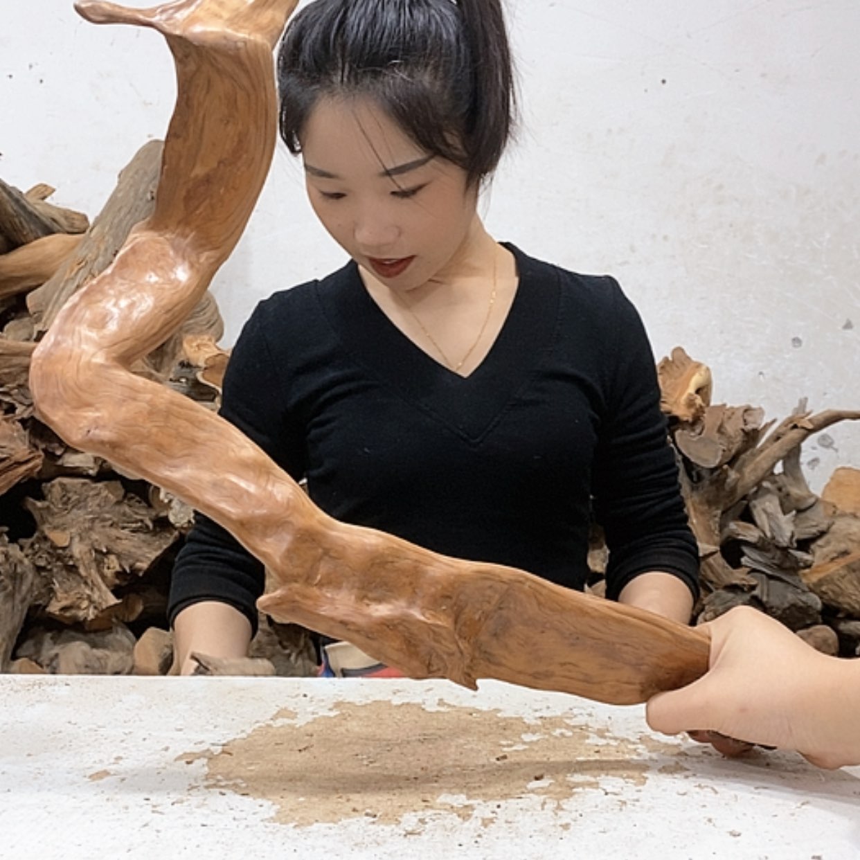 【闪购商品】柏木山**秀我们都是好孩子