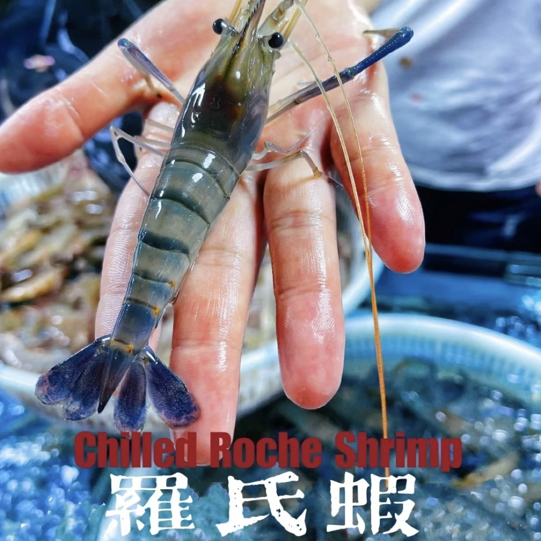 鲜活罗氏虾500g