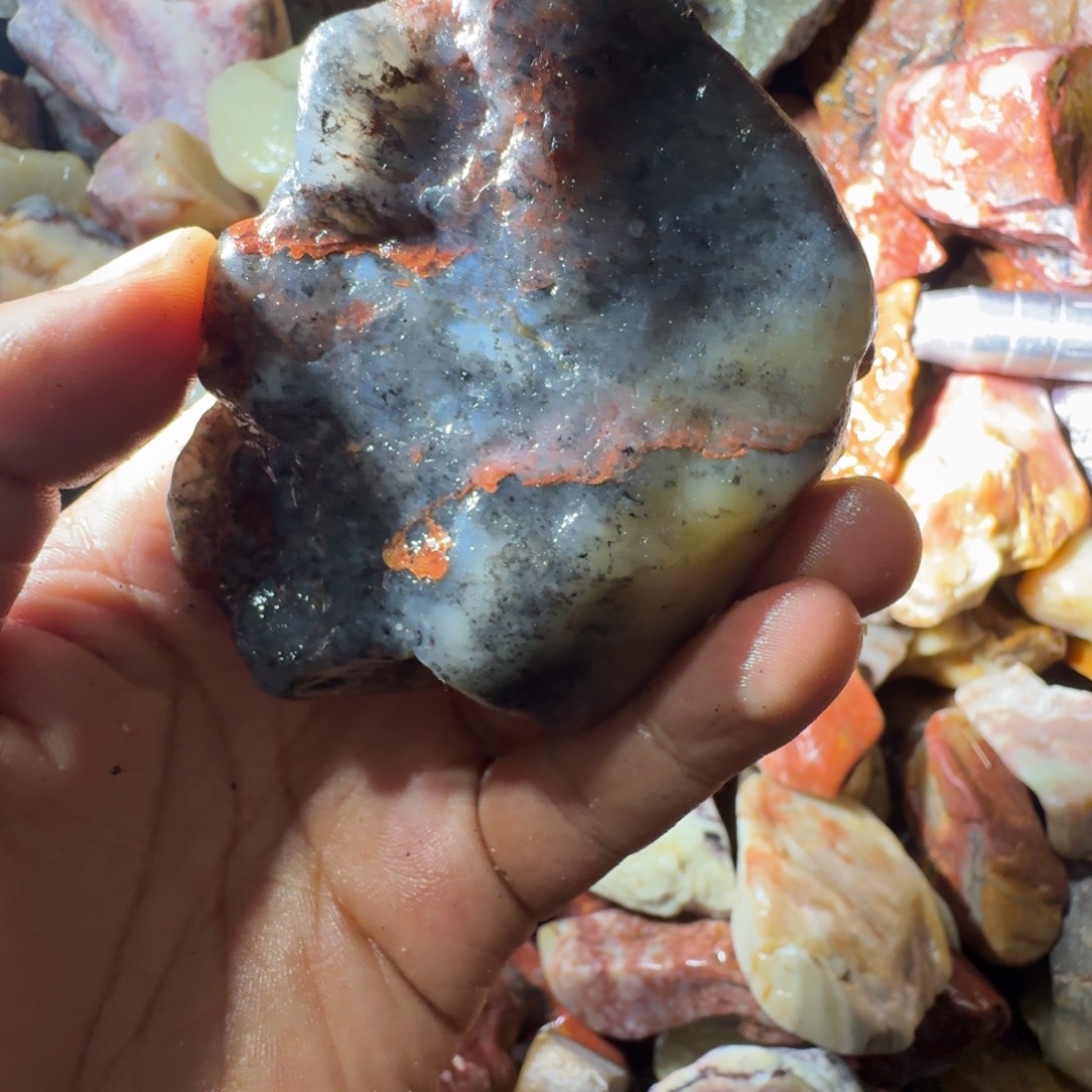 柏***石寿山石998888889888