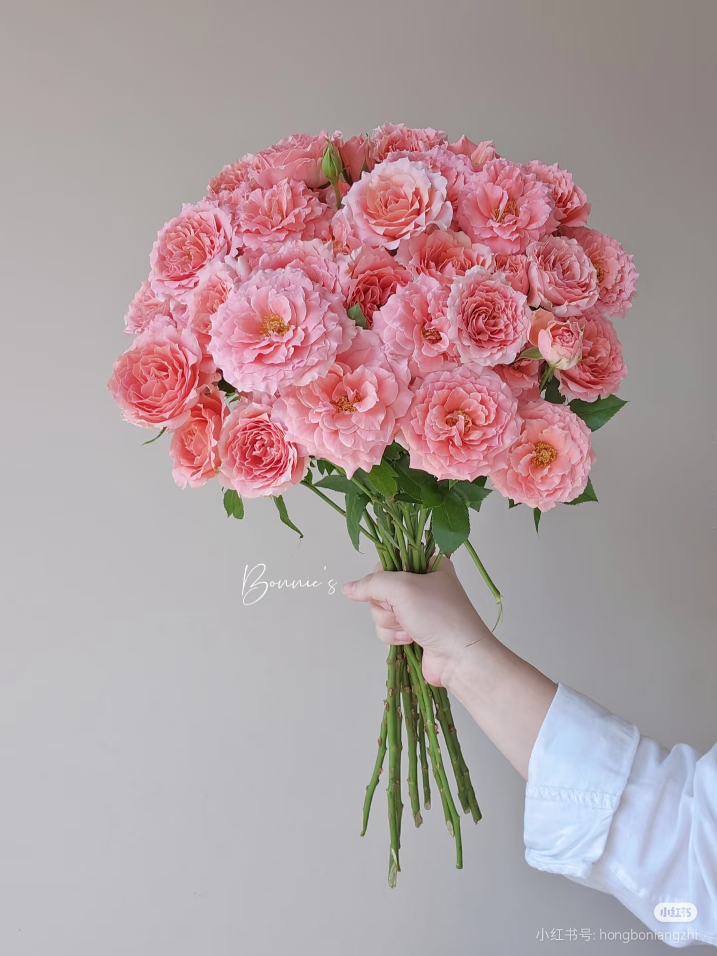 粉色拉拉队10支 两单包邮发货