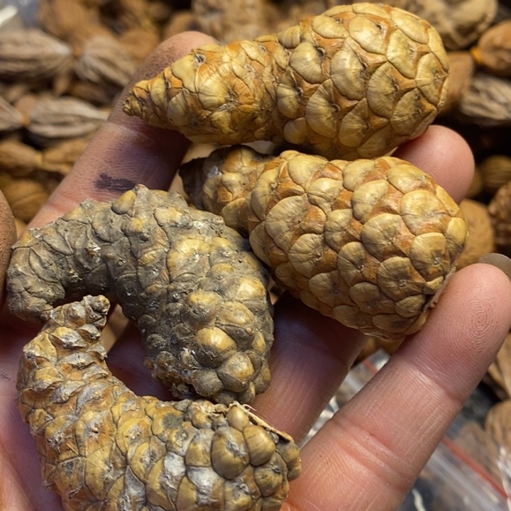 桃核吊坠东北特产102