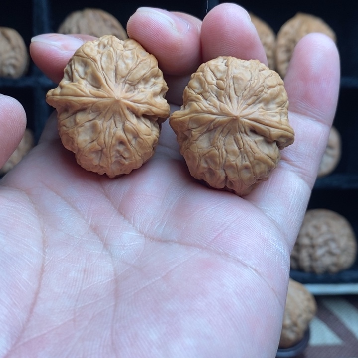 全品花生元宝37尺寸