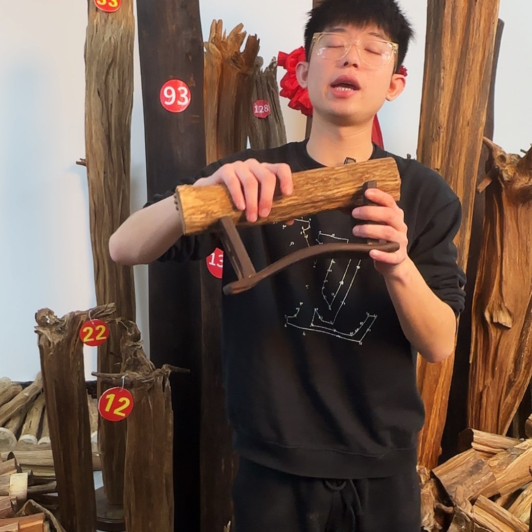 沉香摆件天然沉香原木摆件➕底座
