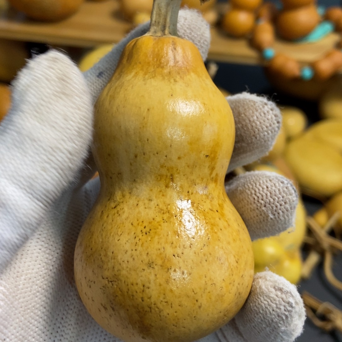 大*牛葫芦葫芦真的