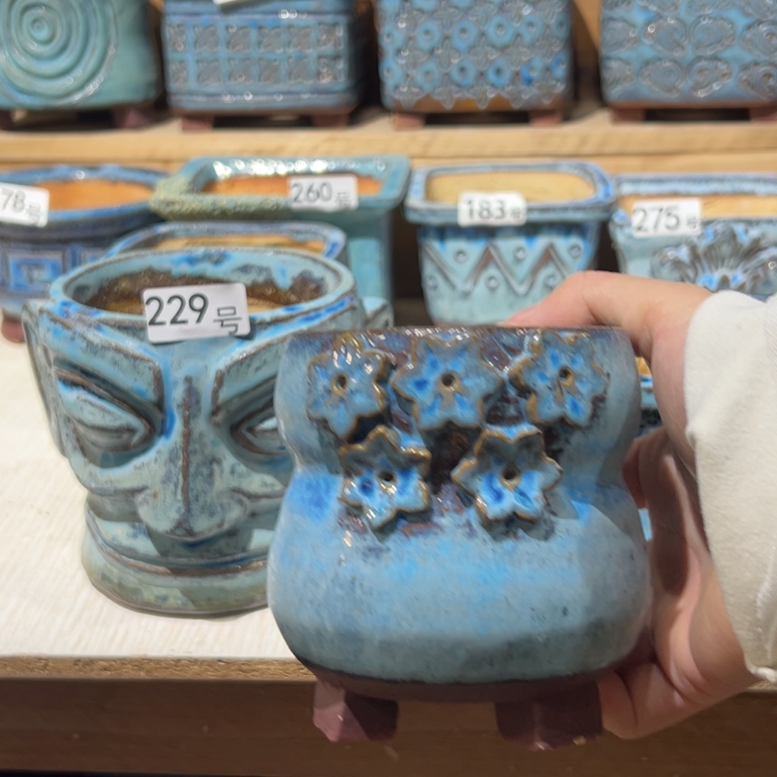 尚雅陶坊多肉花盆，待选盆