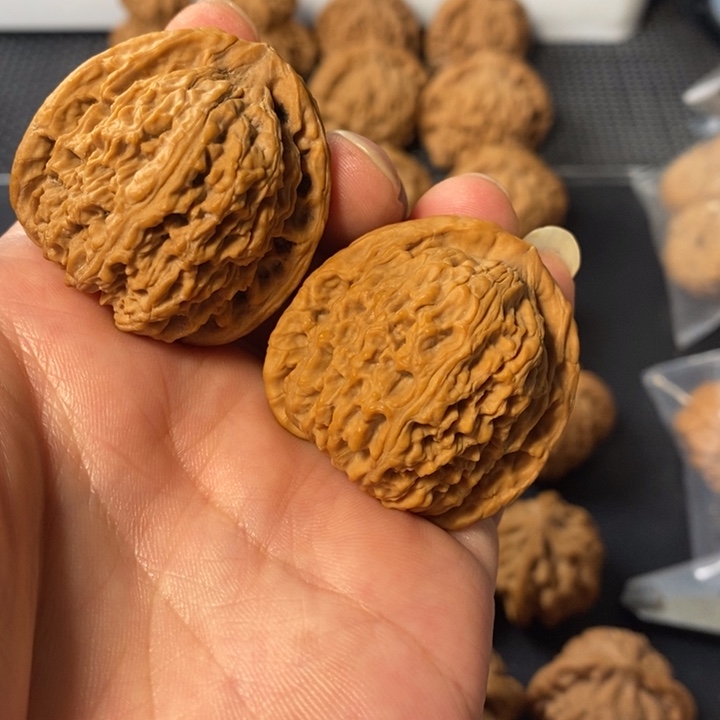 把件桃核5665446777