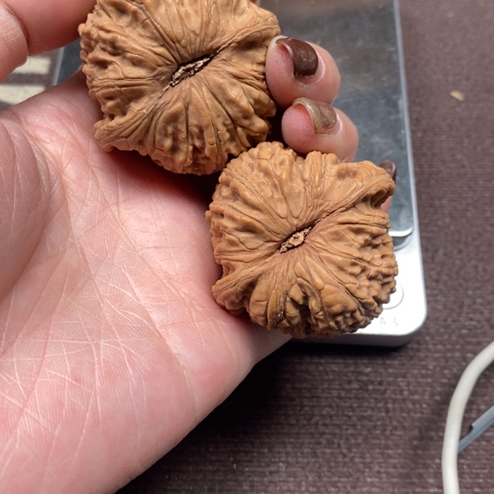 文玩核桃吊坠全品泥鳅背