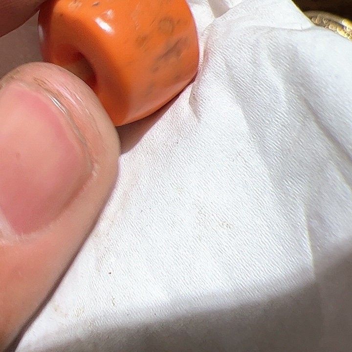 香榧木在这里的时候