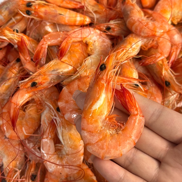 锅烙虾(熟虾即食)顺丰发货