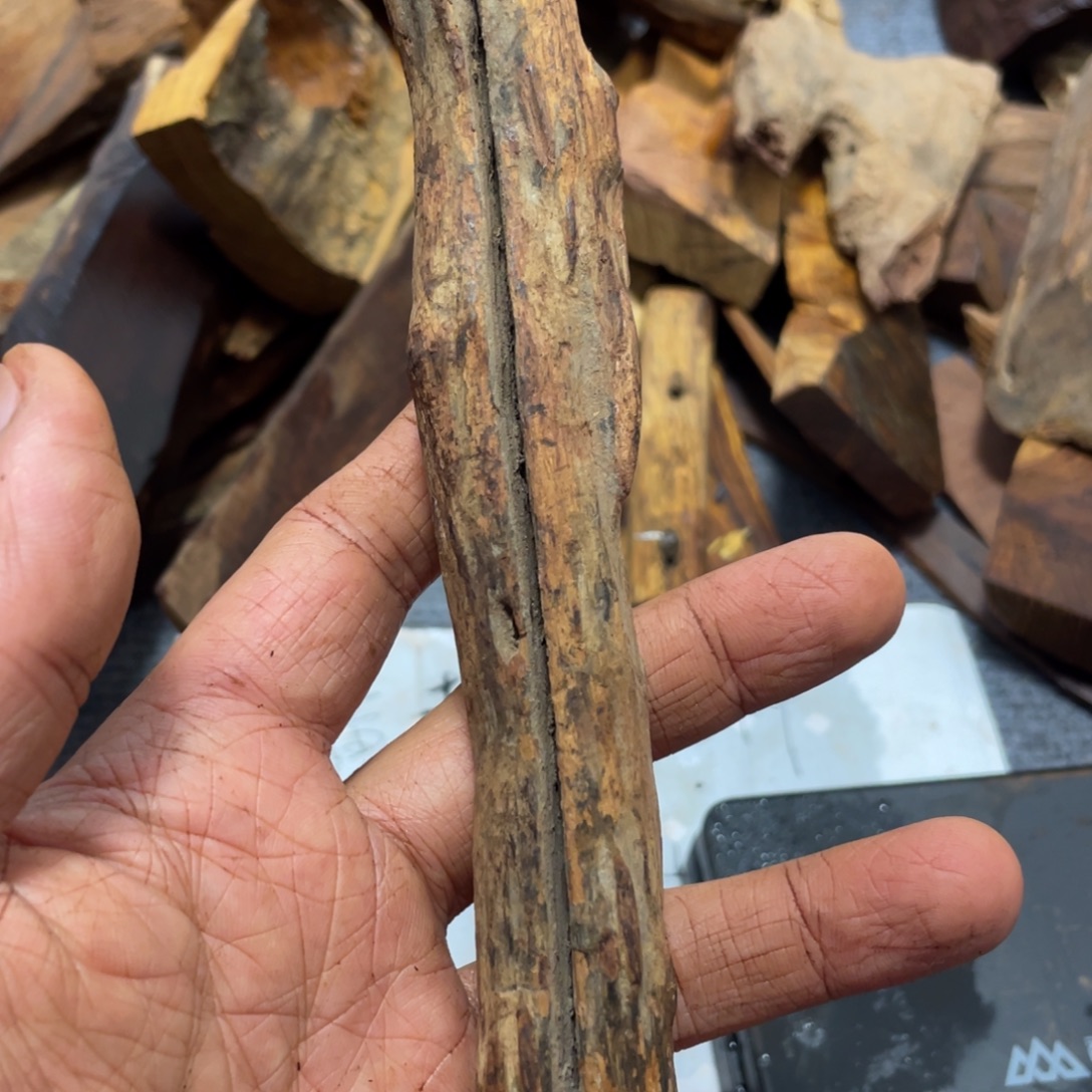 黄花梨/降香黄檀老料