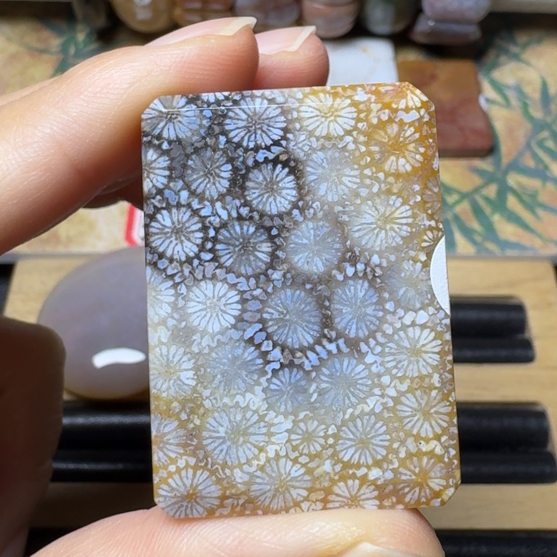 硅化玉有点呼吸孔未镶嵌