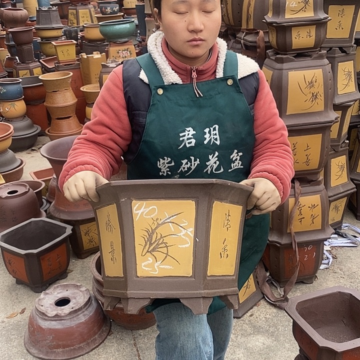 紫砂花盆紫砂花盆盆栽花卉苗木种植