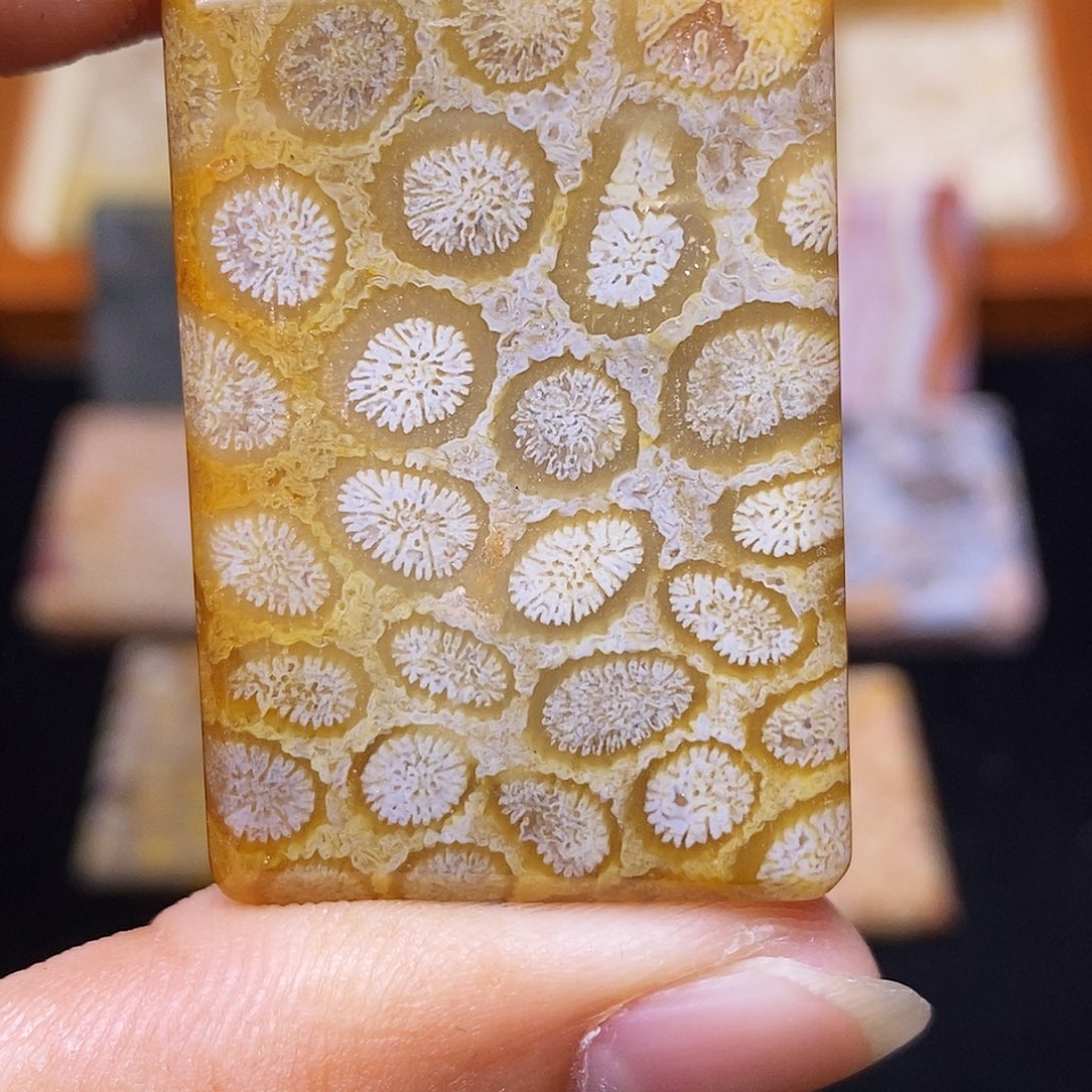 黄***兰硅化玉合金珊瑚玉
