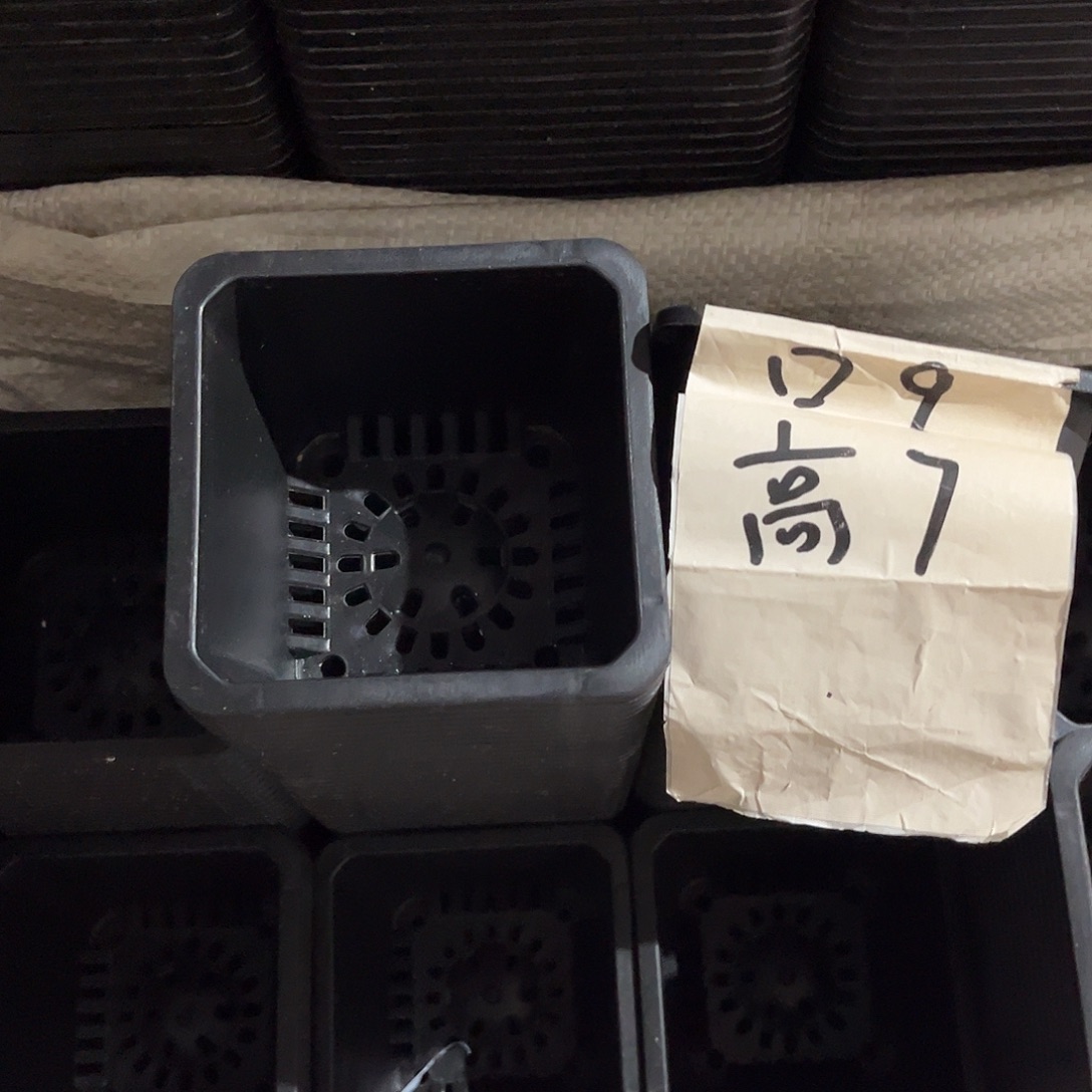 中厚口9高7黑盆40个无托