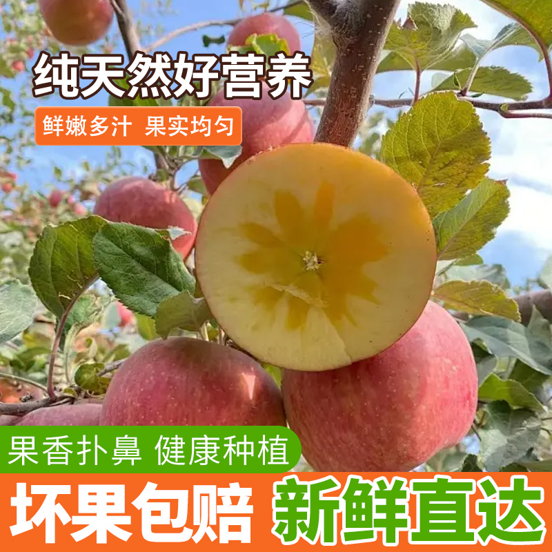 【顺丰直发】正宗阿克苏冰糖心苹果新年礼盒装苹果新鲜水果特级水果