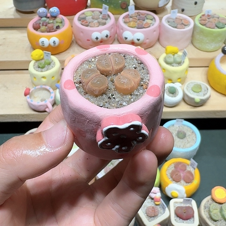 红陶蘑菇453草莓惜春