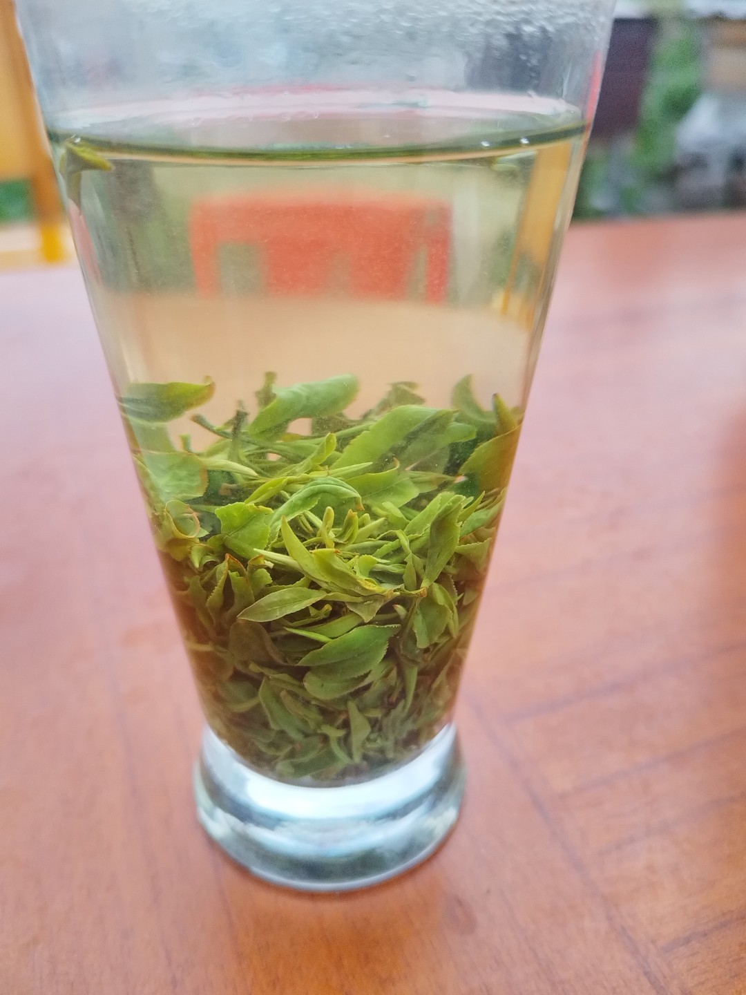 大叶片/2025朱堂乡天桥杨姐高山纯手工茶/清香回甘/口粮好茶