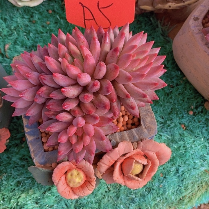 忆***昔我要做自己我自己就