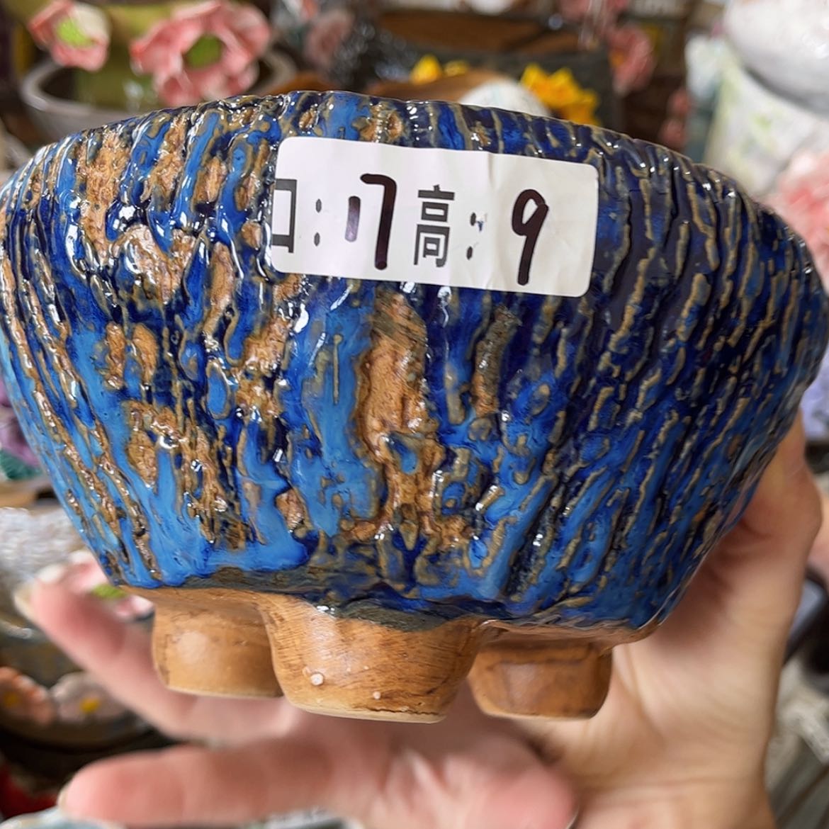 【闪购商品】红陶福利