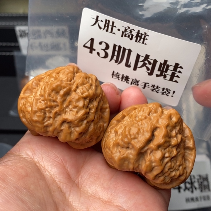 文玩核桃把件43肌肉蛙
