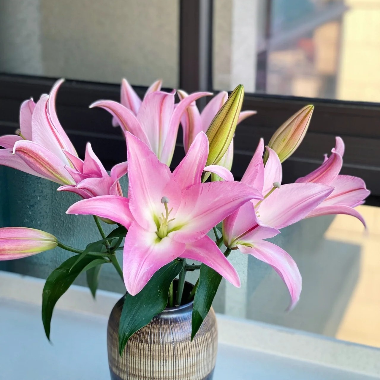 特价星光百合   居家办公优选