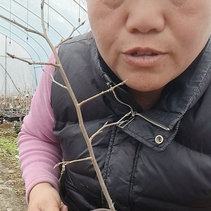 天***亲无花朵1564568588899