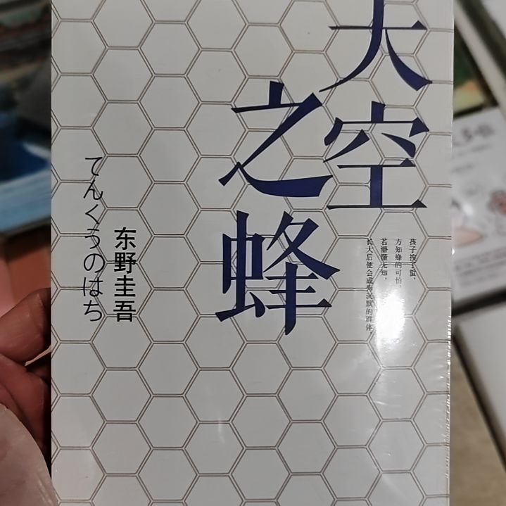 东野圭吾天空之峰